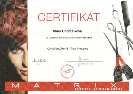 Certifikát MATRIX 9.11.2015
